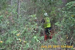 Entergy 137